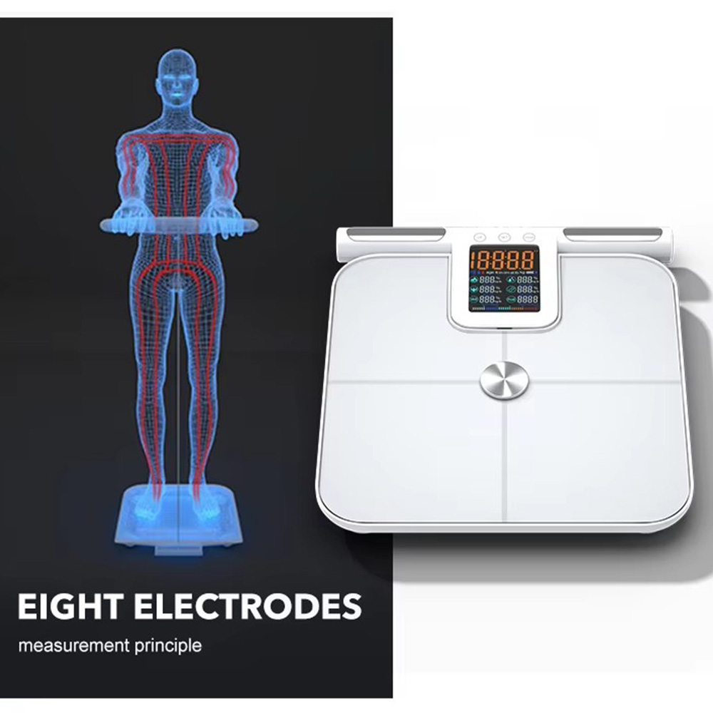 เครื่องชั่งไขมันในร่างกายอัจฉร - Body Fat Scale Smart บทวิจารณ์และราคา