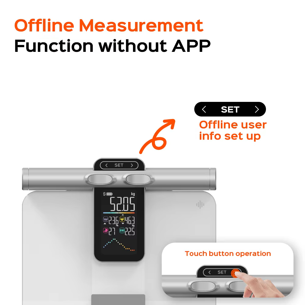 2025 ใหม่ออฟไลน์ฟังก์ชั่นการวั - Body Fat Scale Smart บทวิจารณ์และราคา