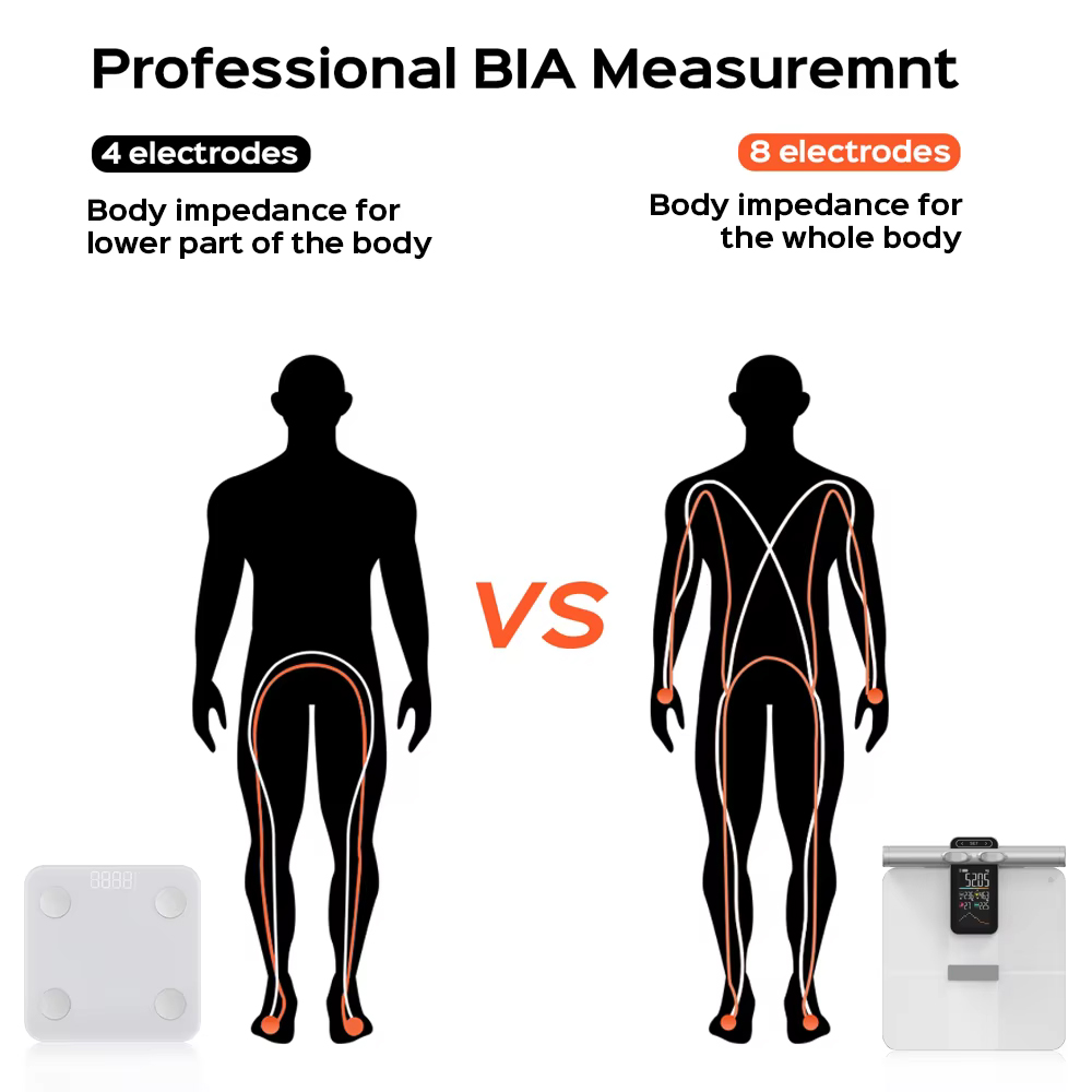 2025 ใหม่ออฟไลน์ฟังก์ชั่นการวั - Body Fat Scale Smart บทวิจารณ์และราคา